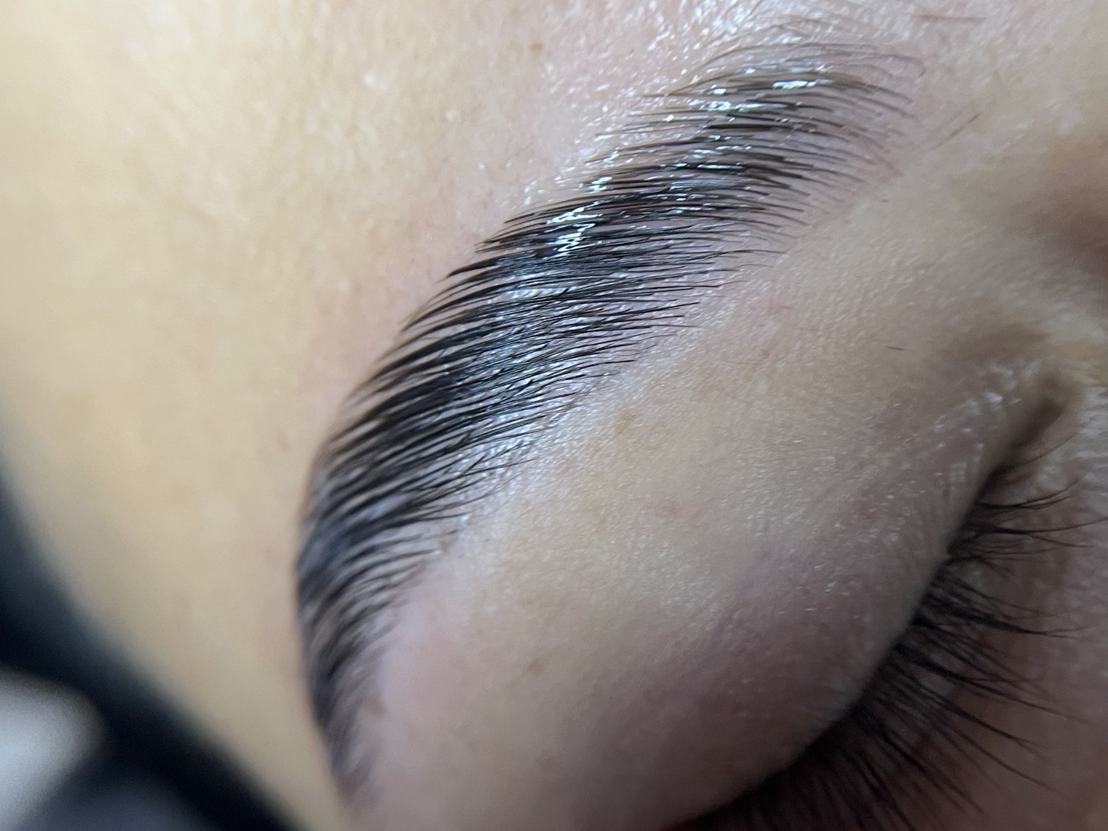 Brow Lamination
